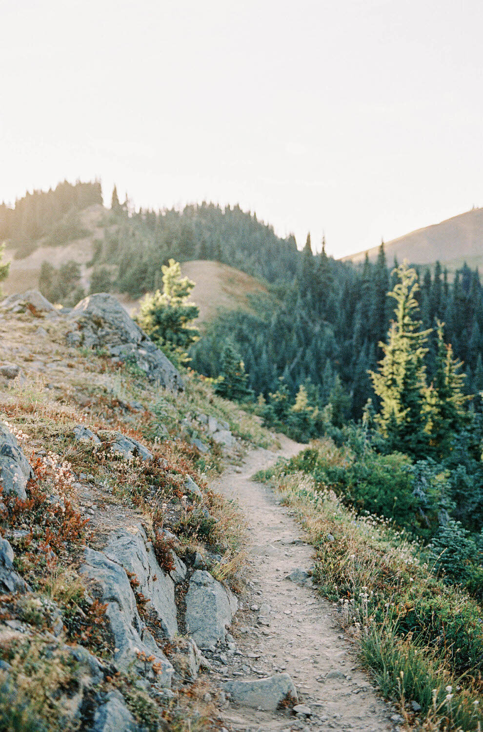 the-new-romantic-luxury-wedding-olympic-peninsula-fine-art-elopement-20