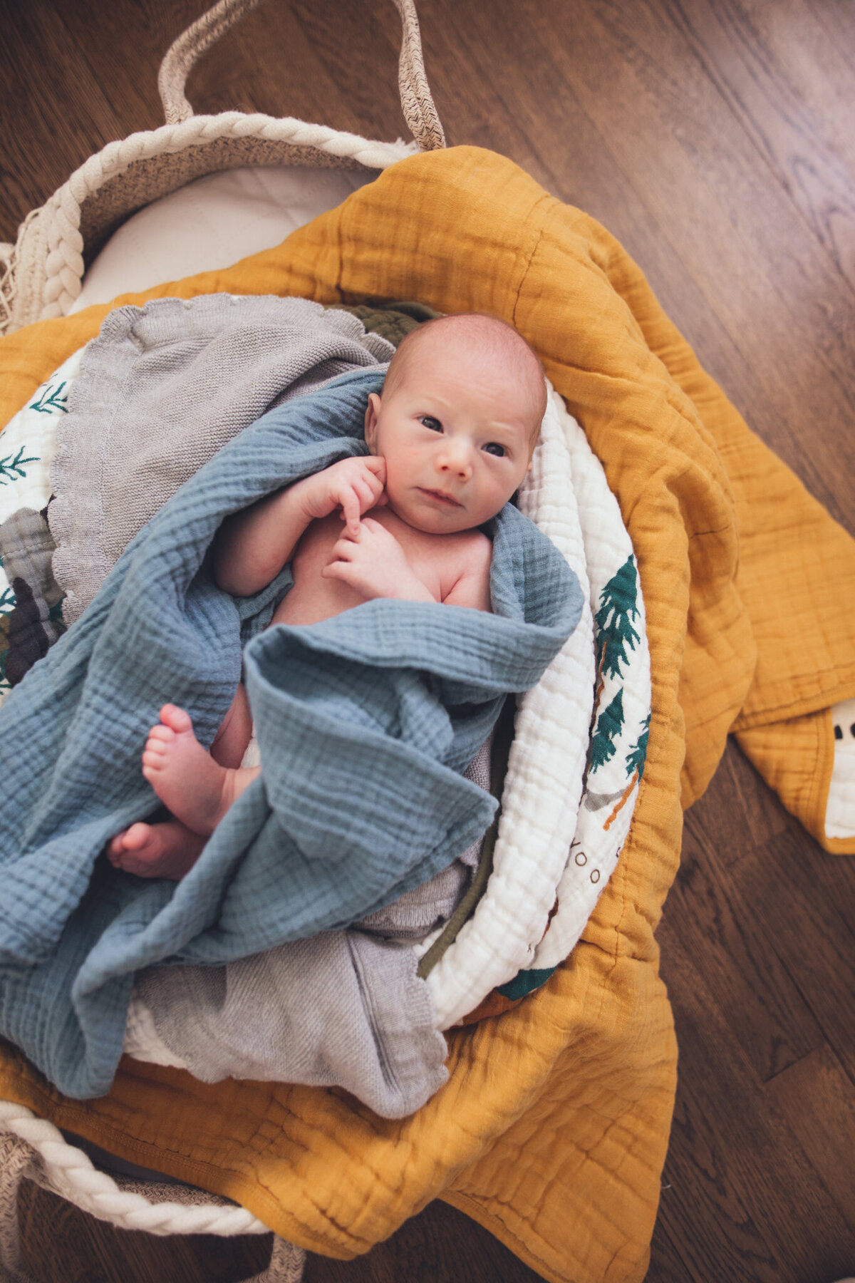 Lindsay-wilson-photography-in-home-newborn-51