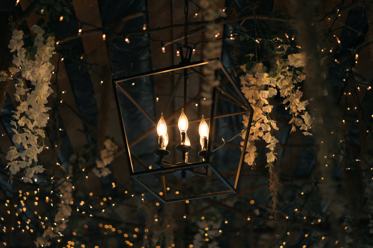 BriannaCollinWebsite-005