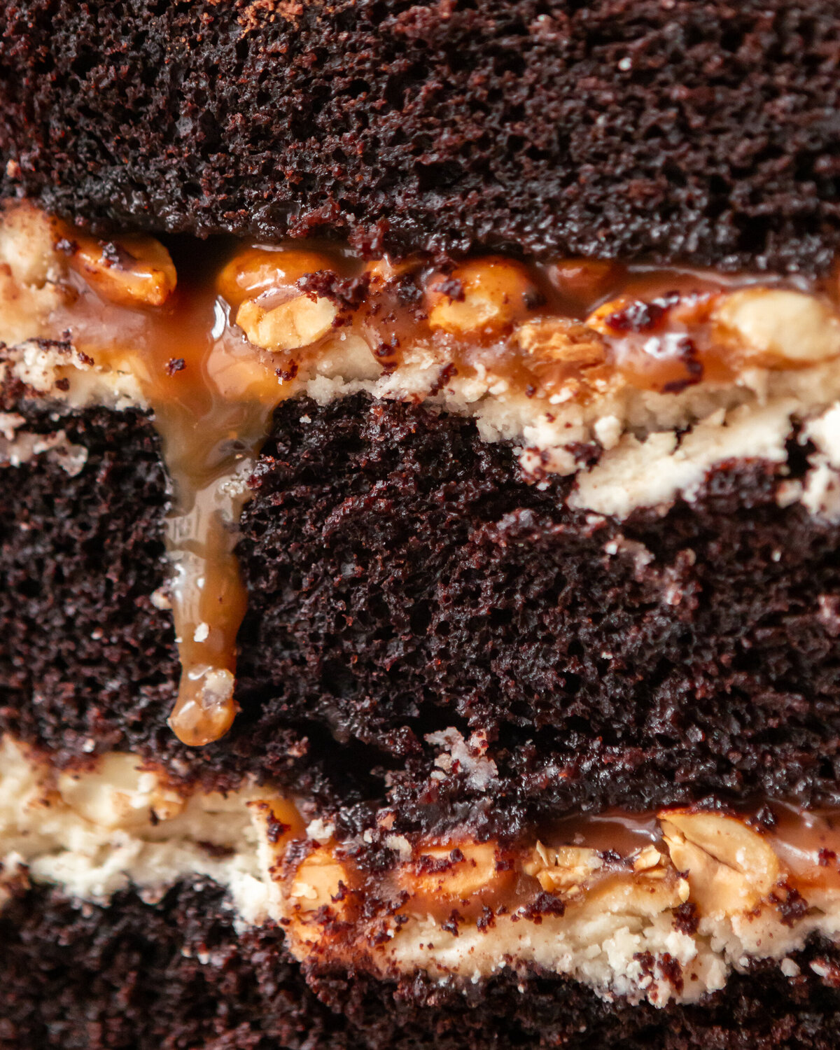 bite this cake-7