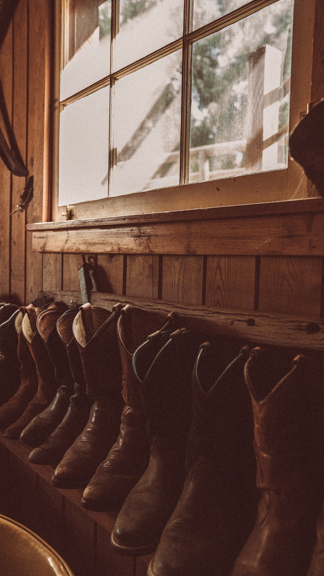 dmc pic edits right size (1)