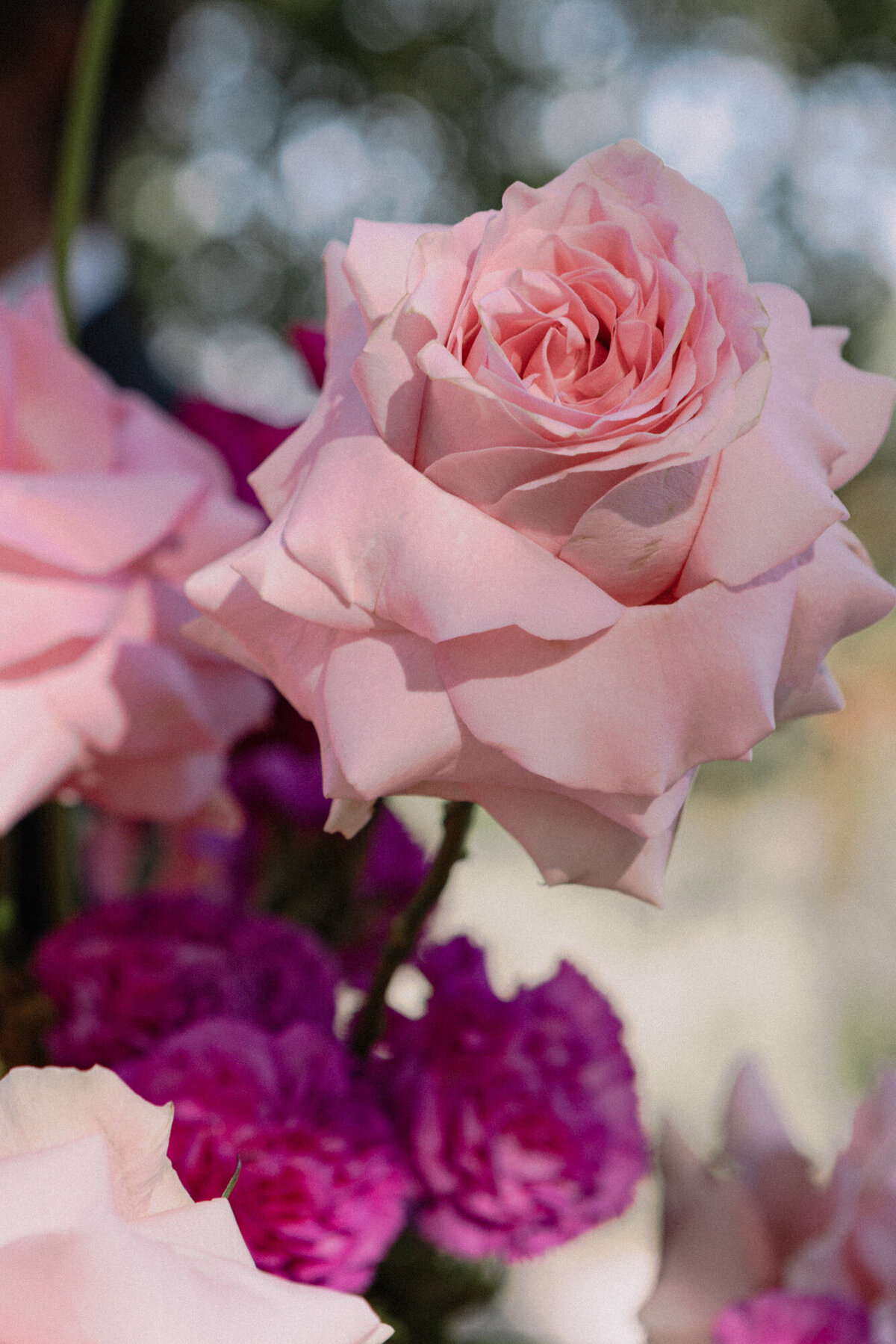 AM-Editorial-20251004-049