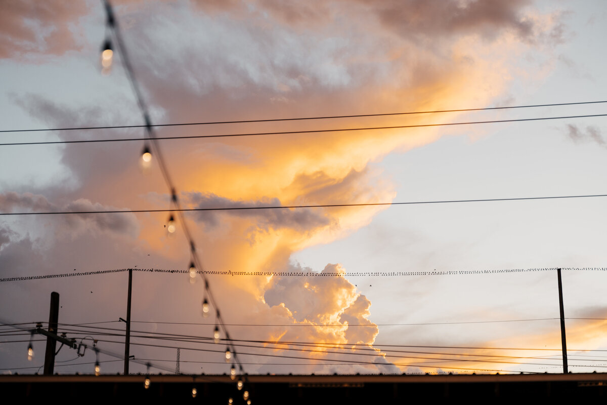 madelynpricephotos-7404985