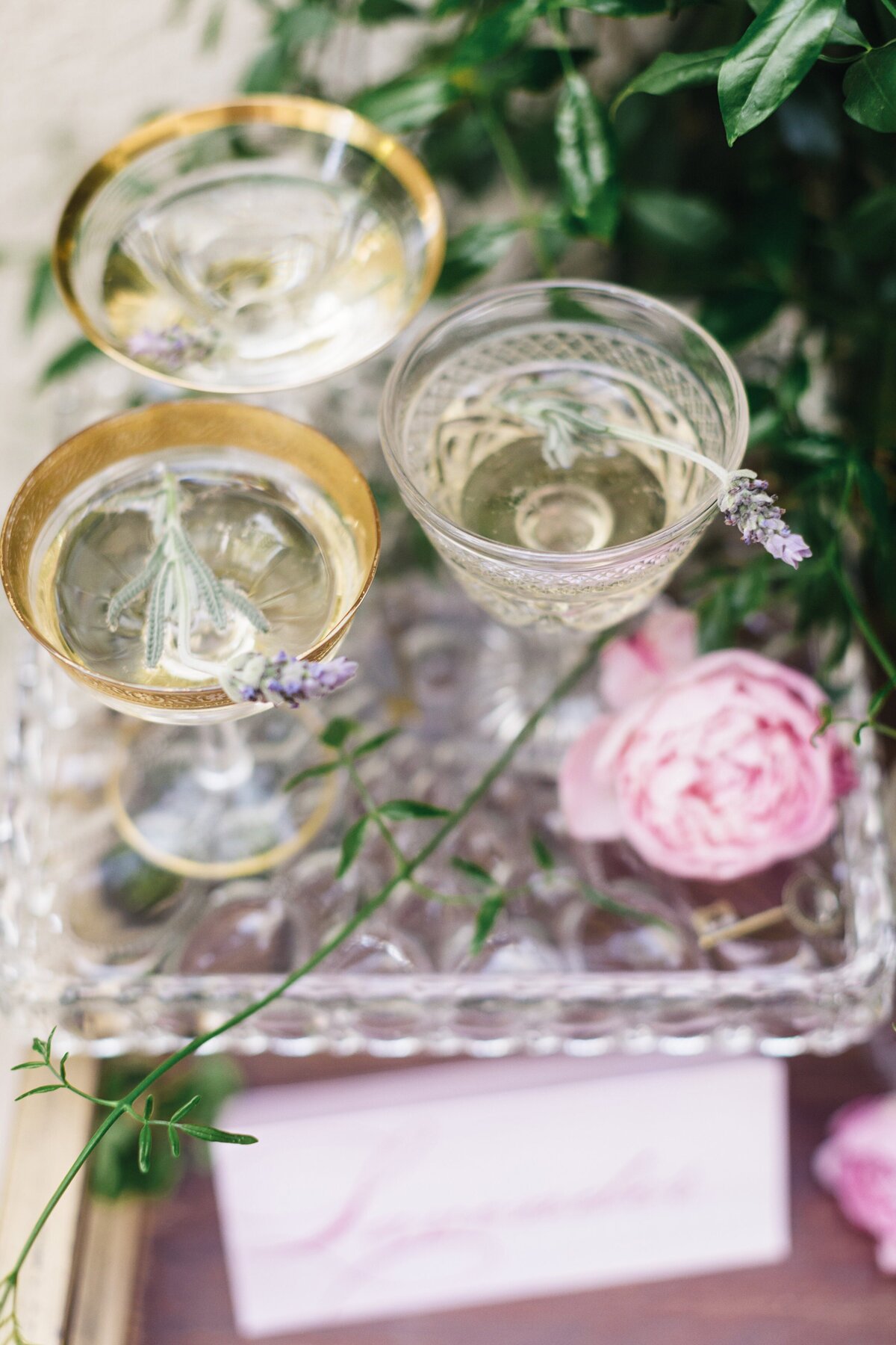 California_Wedding_Photographer_Jana_Williams-7246