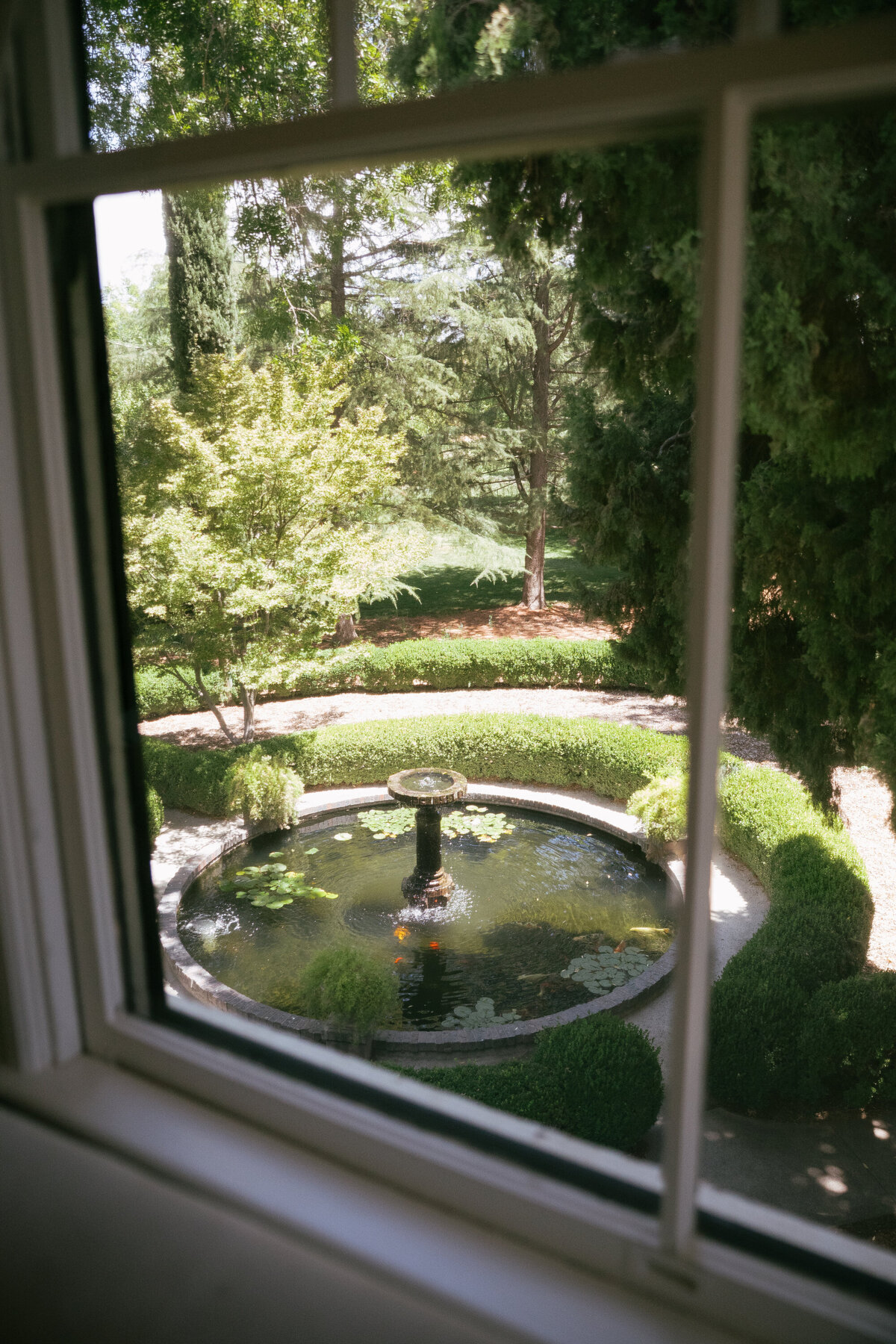 rosefreedmanphotography-40_50