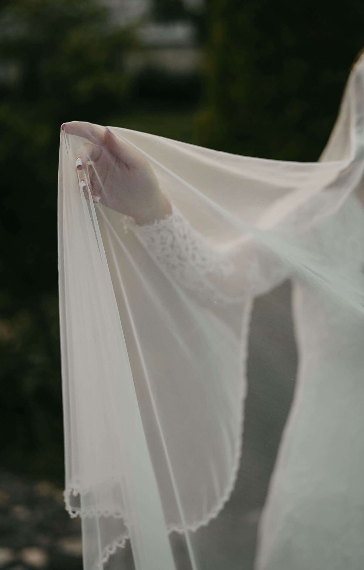 mahsa-gr1G0EAlRlo-unsplash