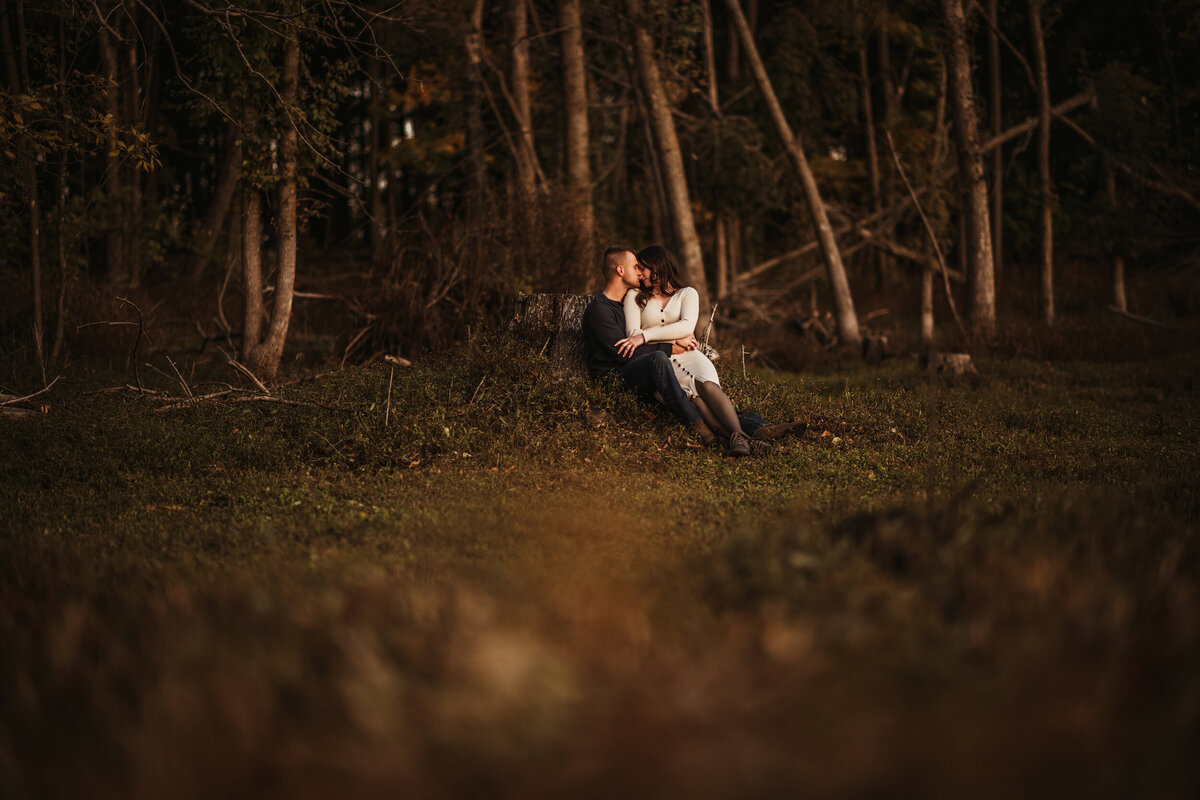 Pulaski engagment session.