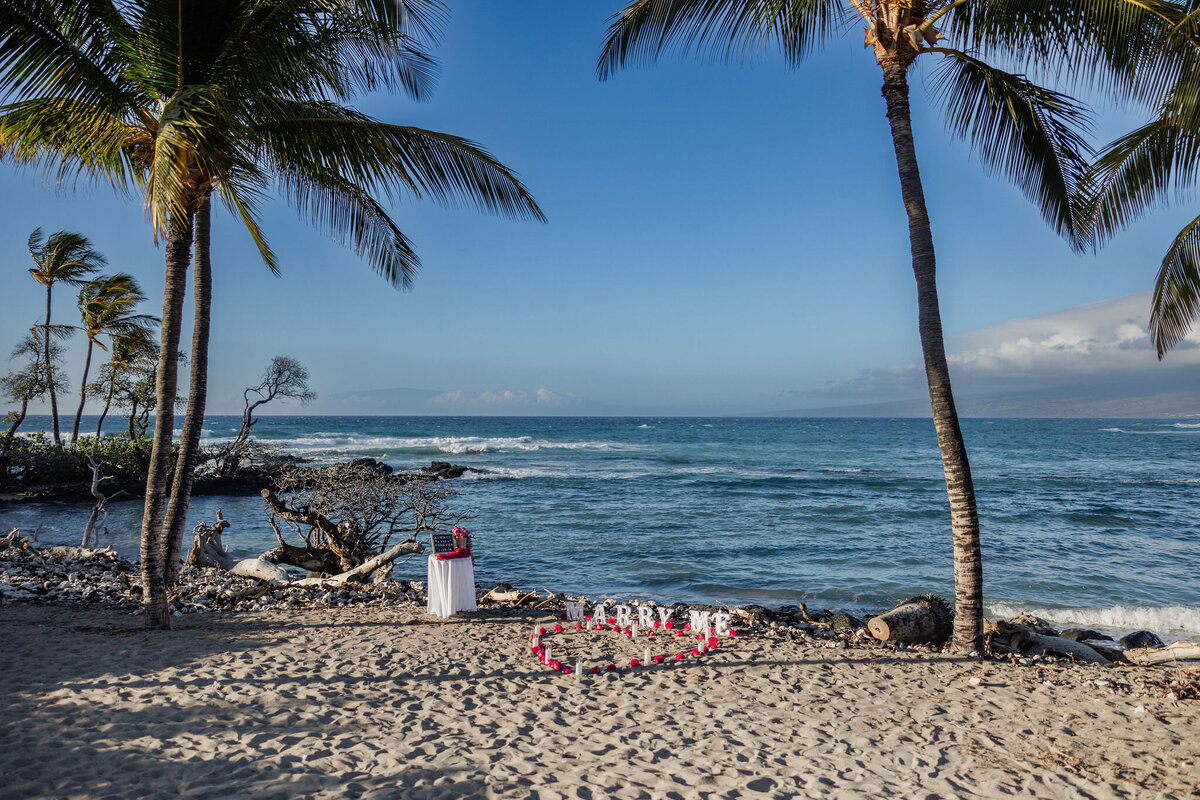 Hawaii-Proposal-Big-Island-Engagement (5)