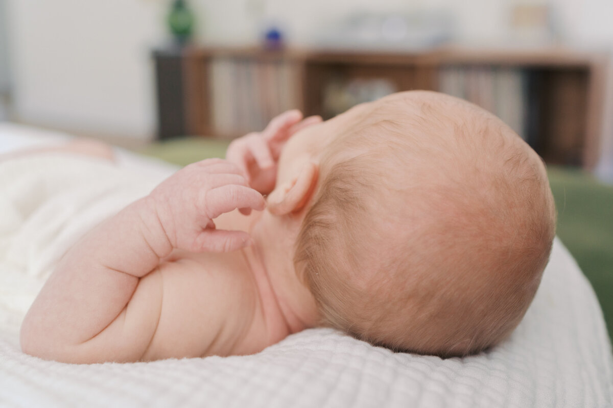 Colorado Springs Newborn Photographer | Lauren Bounds