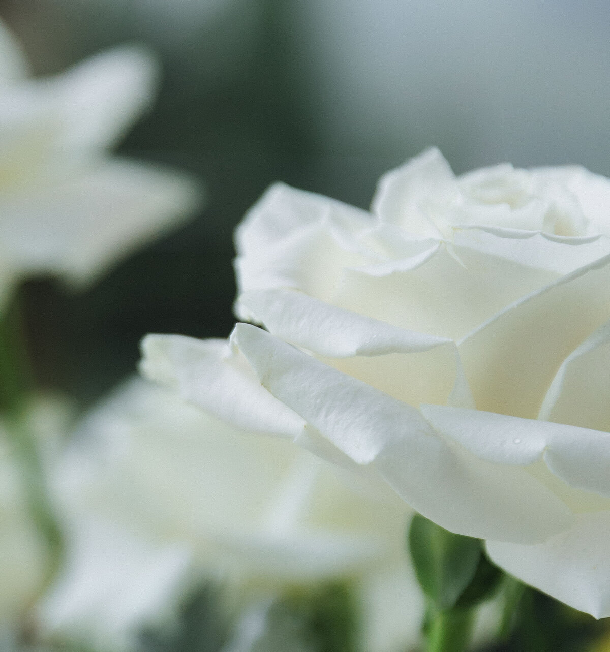 Castle Destination Wedding