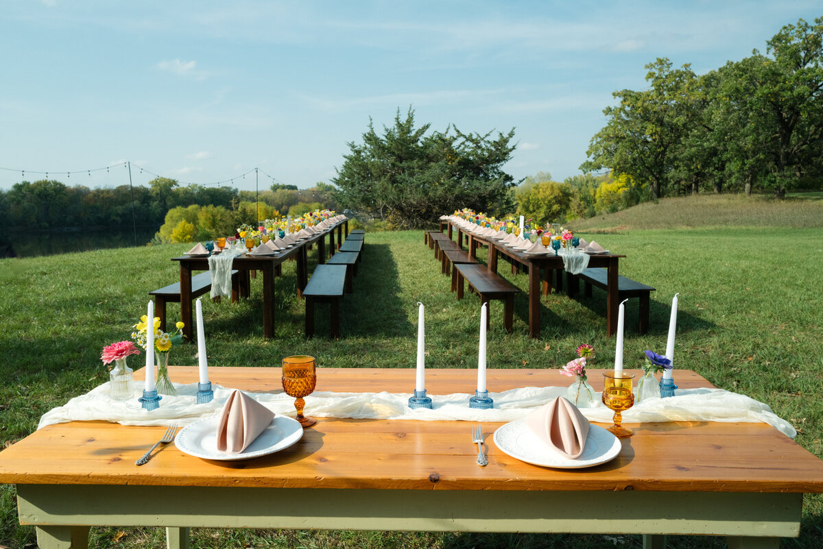 Backyard-Wedding-Rogers-MN-B&S-Will-DeGraw-Clever-Disarray-42