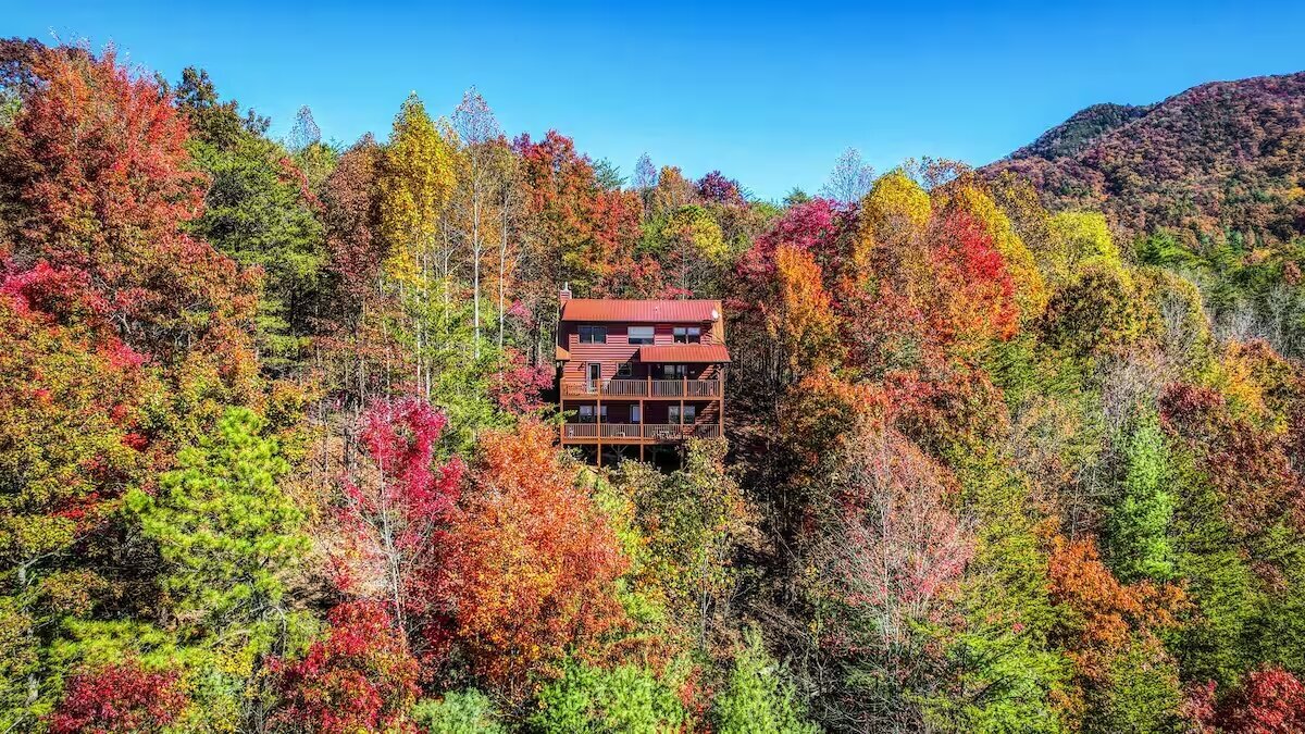 cabin-aerial