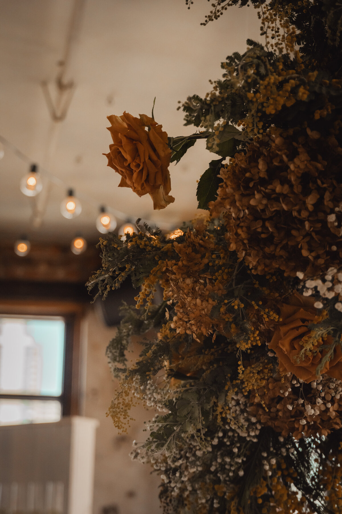 Photo Feb 21 2019, 9 25 20 PM