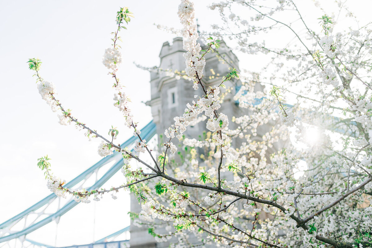MorganeBallPhotography-Wedding-London-SparklingMoments-01-TowerBridge-100-3529_websize