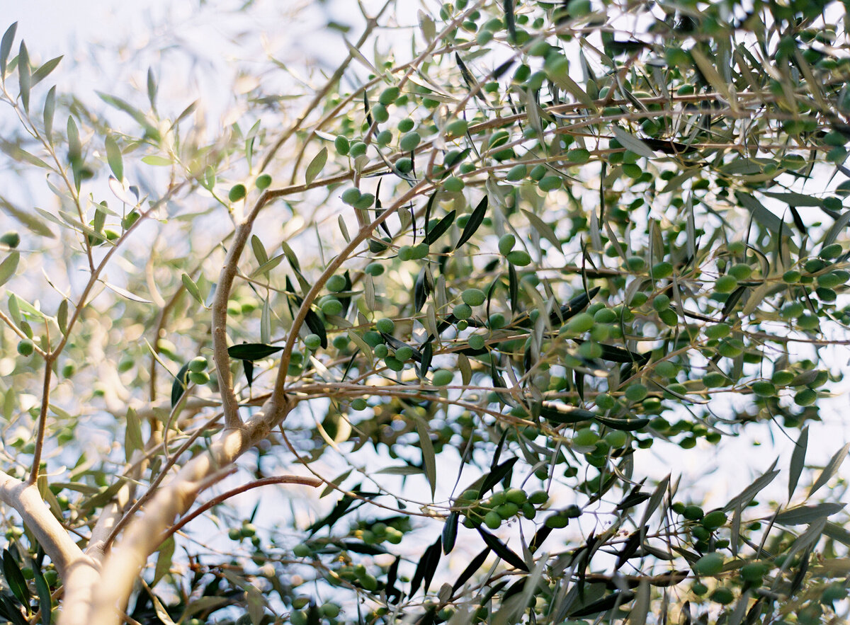 HeatherPaynePhoto_AmandaMarieSunstone_014