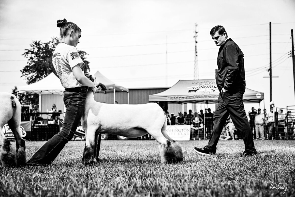 girl bracing lamb during show