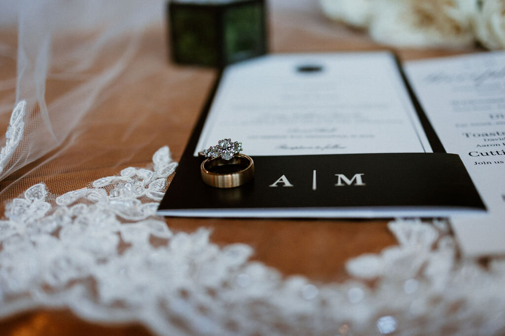 Indianapolis-Wedding-Photographer-Aislinn-Timmons-Photography-5