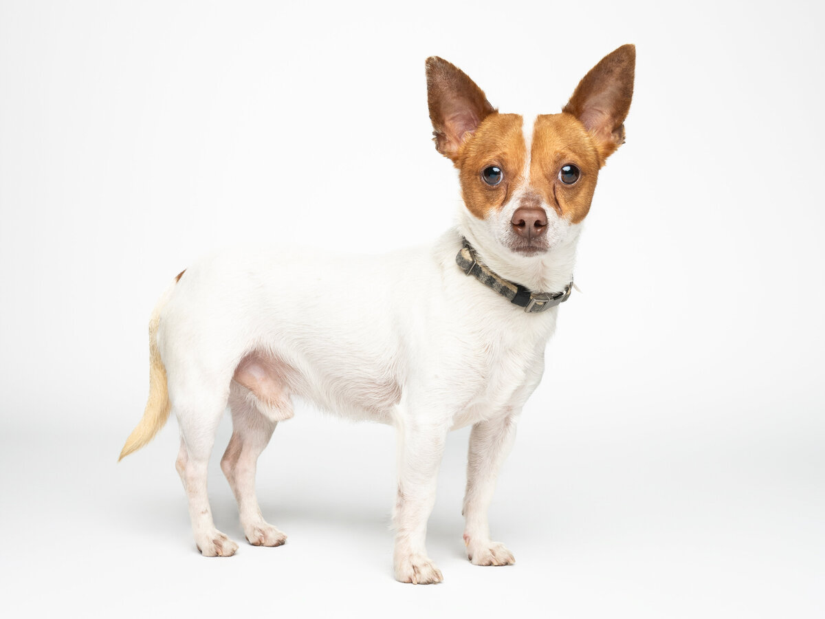 Website3500-DSC04907