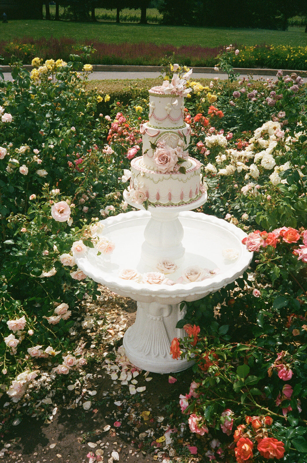 Film-34