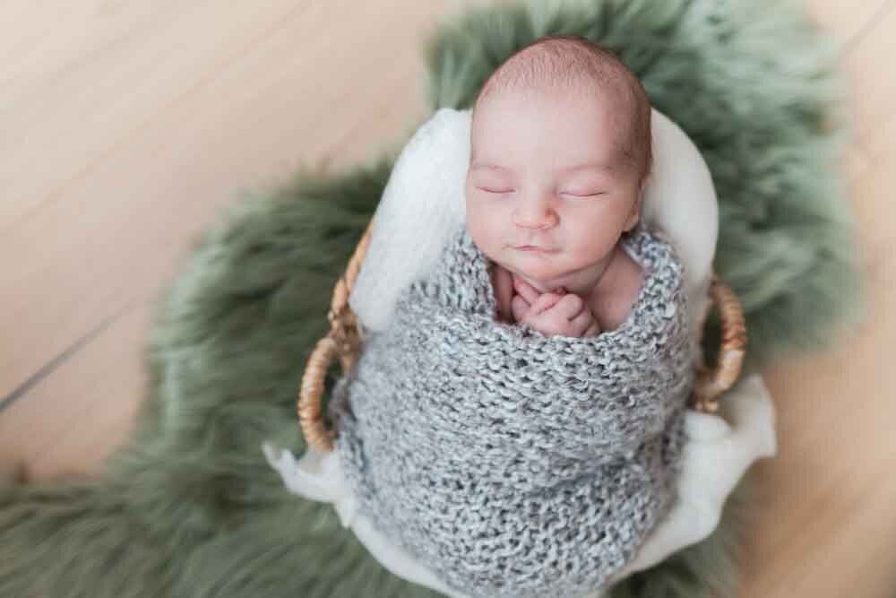 Elizabeth Priniski Madison Newborn Photographer Charles-7