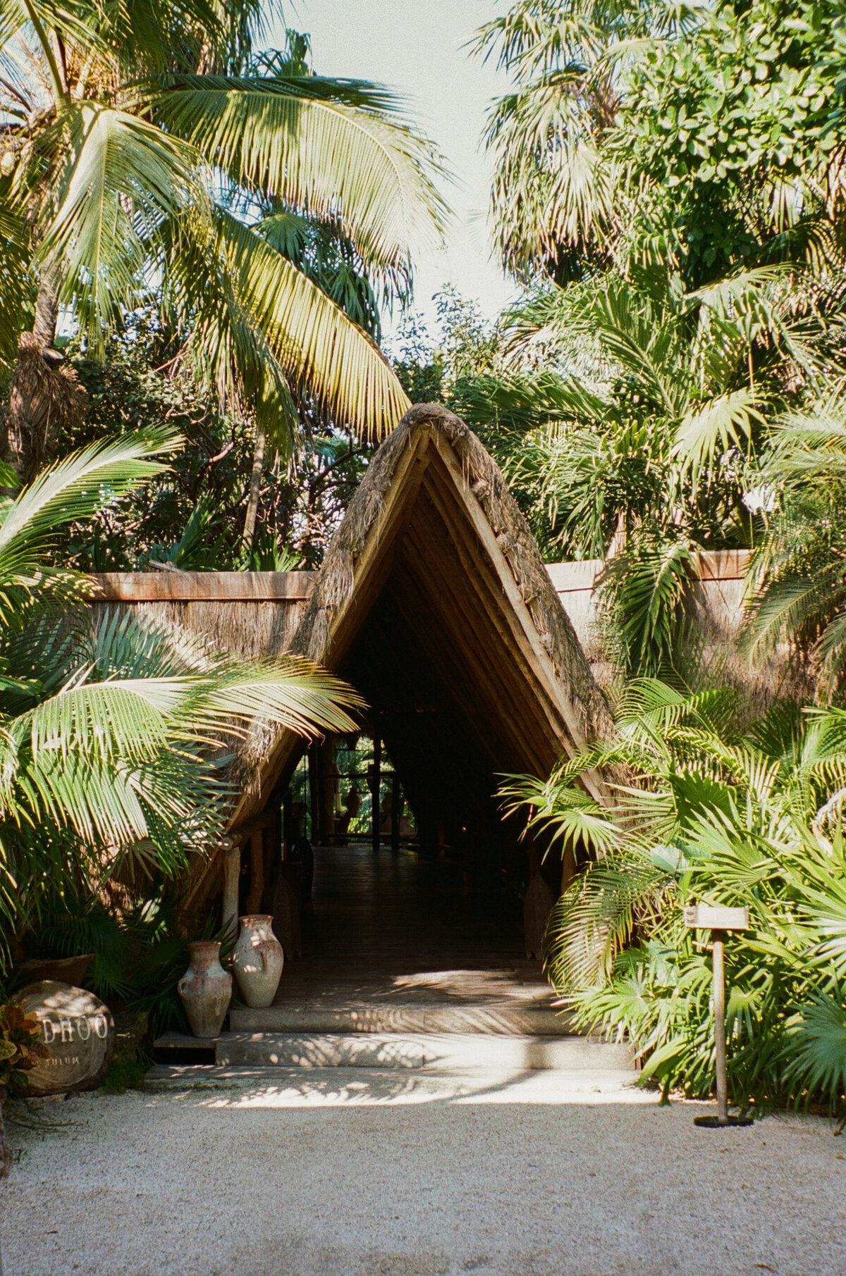 Film-wedding-photographer-80