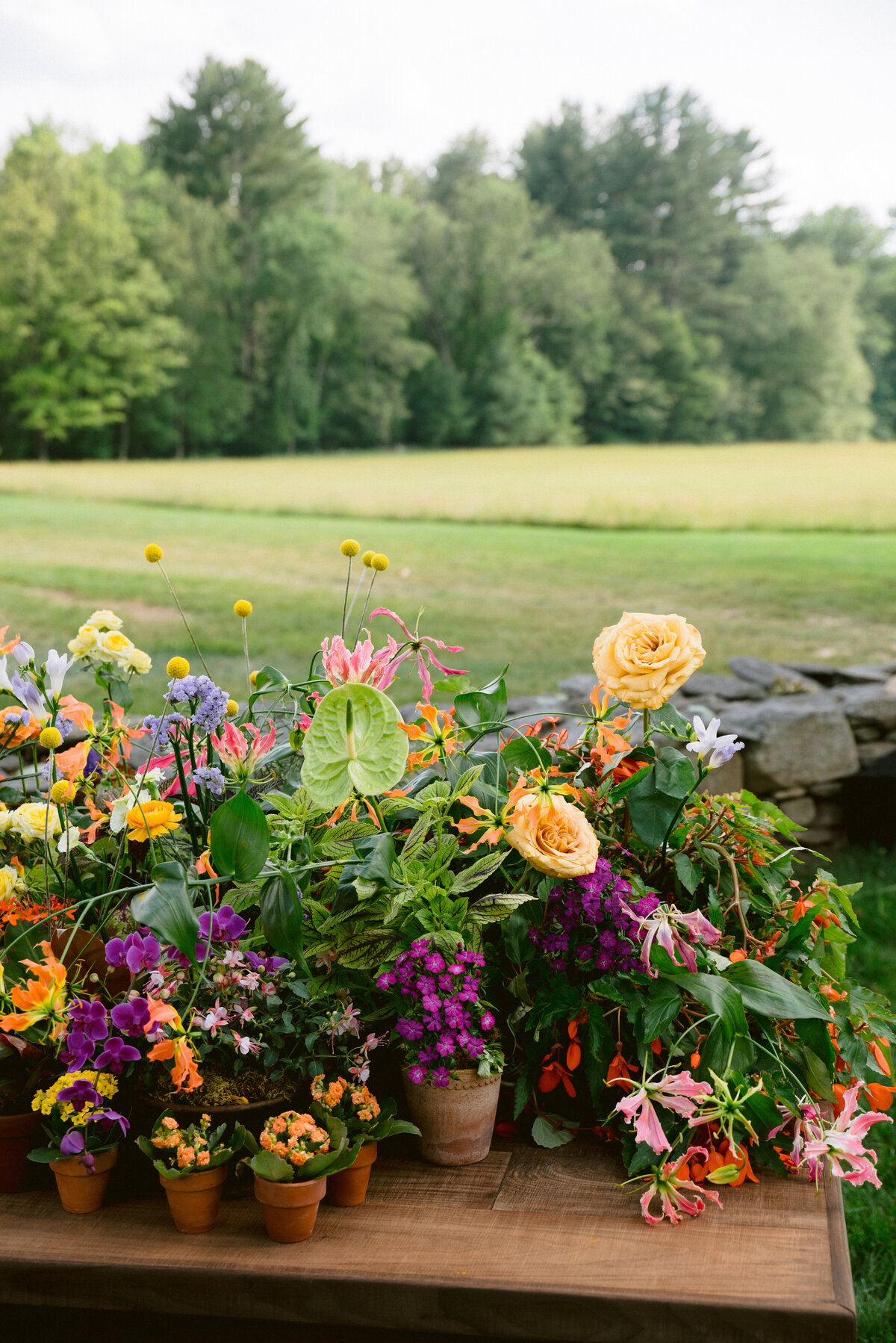 CCP_250621_SageWyatt_Wedding_8CocktailHour_0039