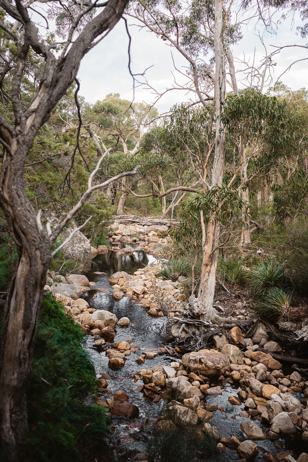 stony-creek-Halls-Gap