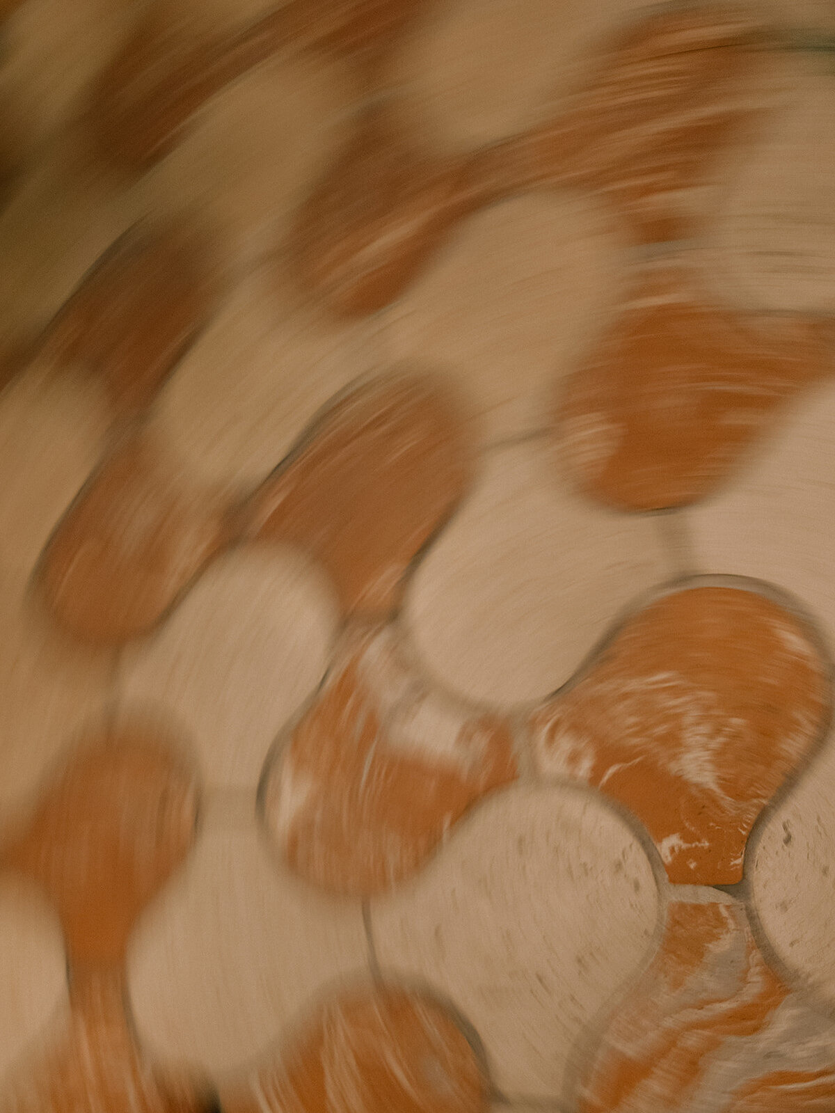 L+W-married-MLP0108_websize