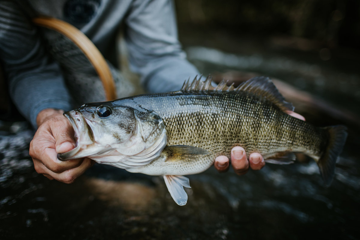 Georgia-flyfishing-outdoor-lifestyle-photography-11