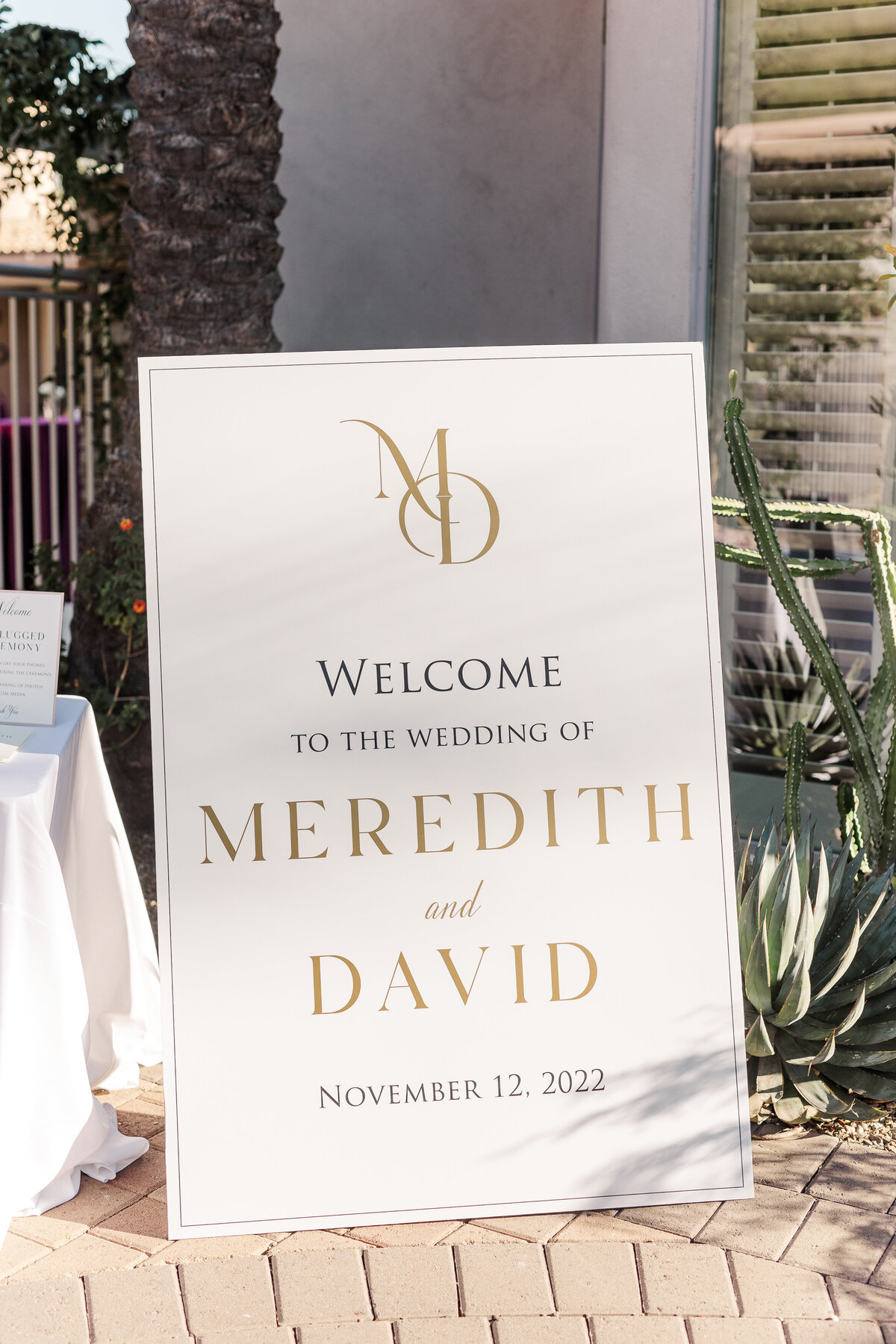 MEREDITHDAVID111222-77