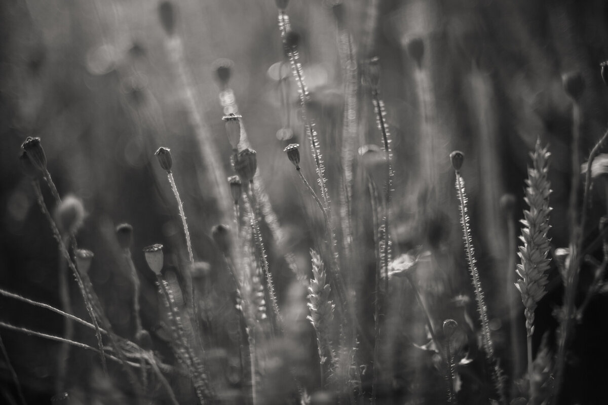 fine_art_photographer _096