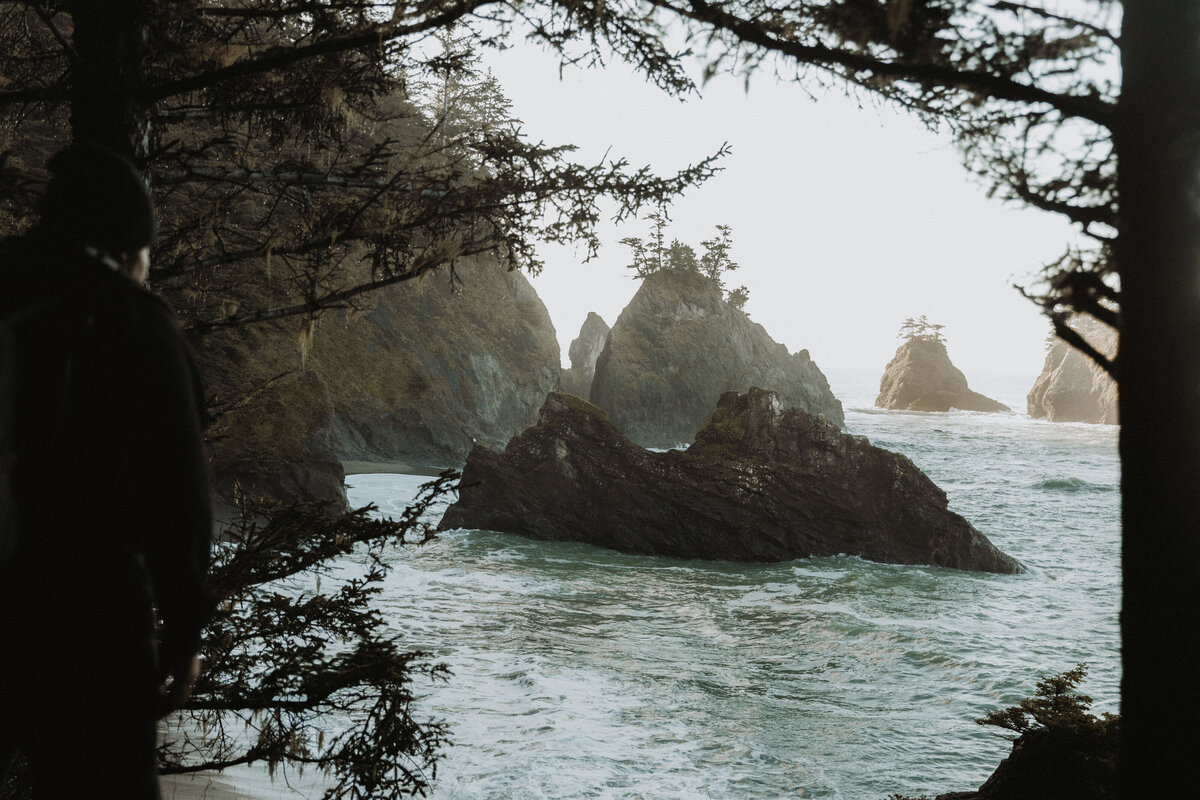 WithLoveFromCass_OregonProposalPhotographer_SecretBeach-9