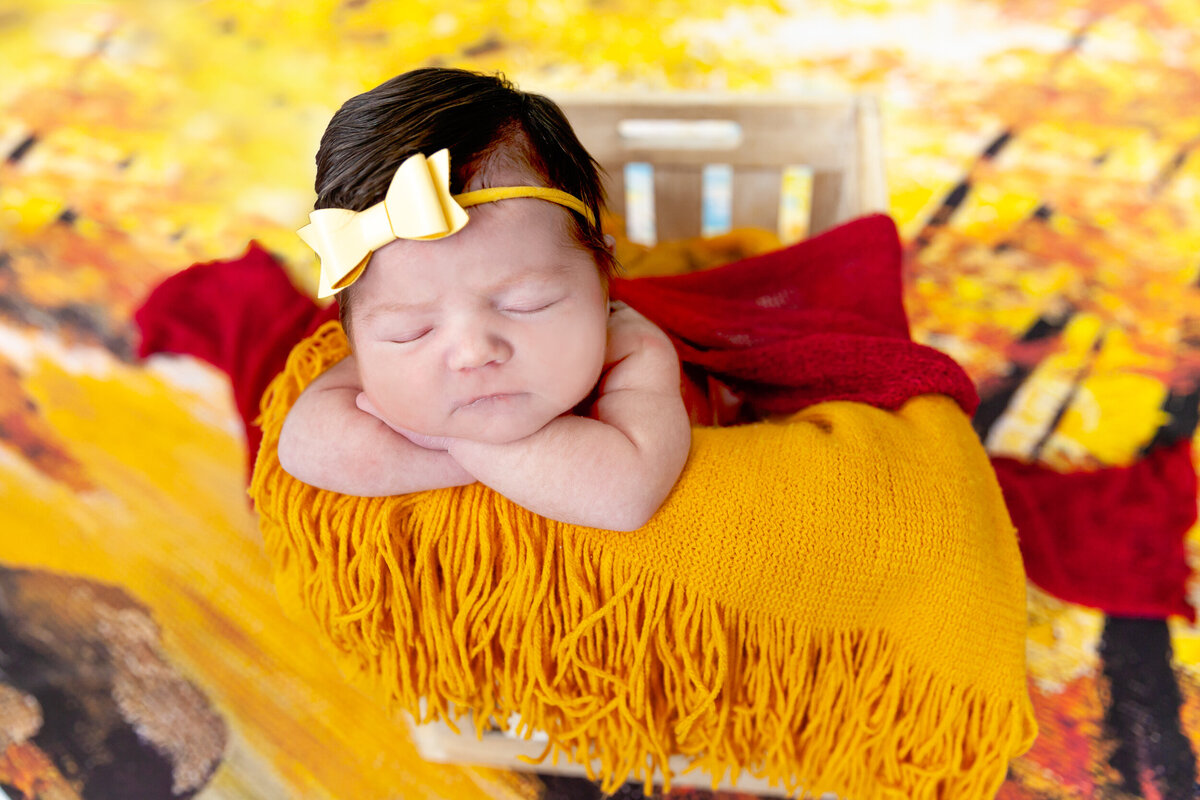 Evalynn Newborn Photos-30