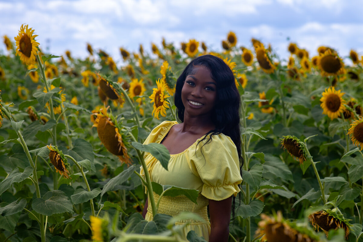 addtosunflowerkayci