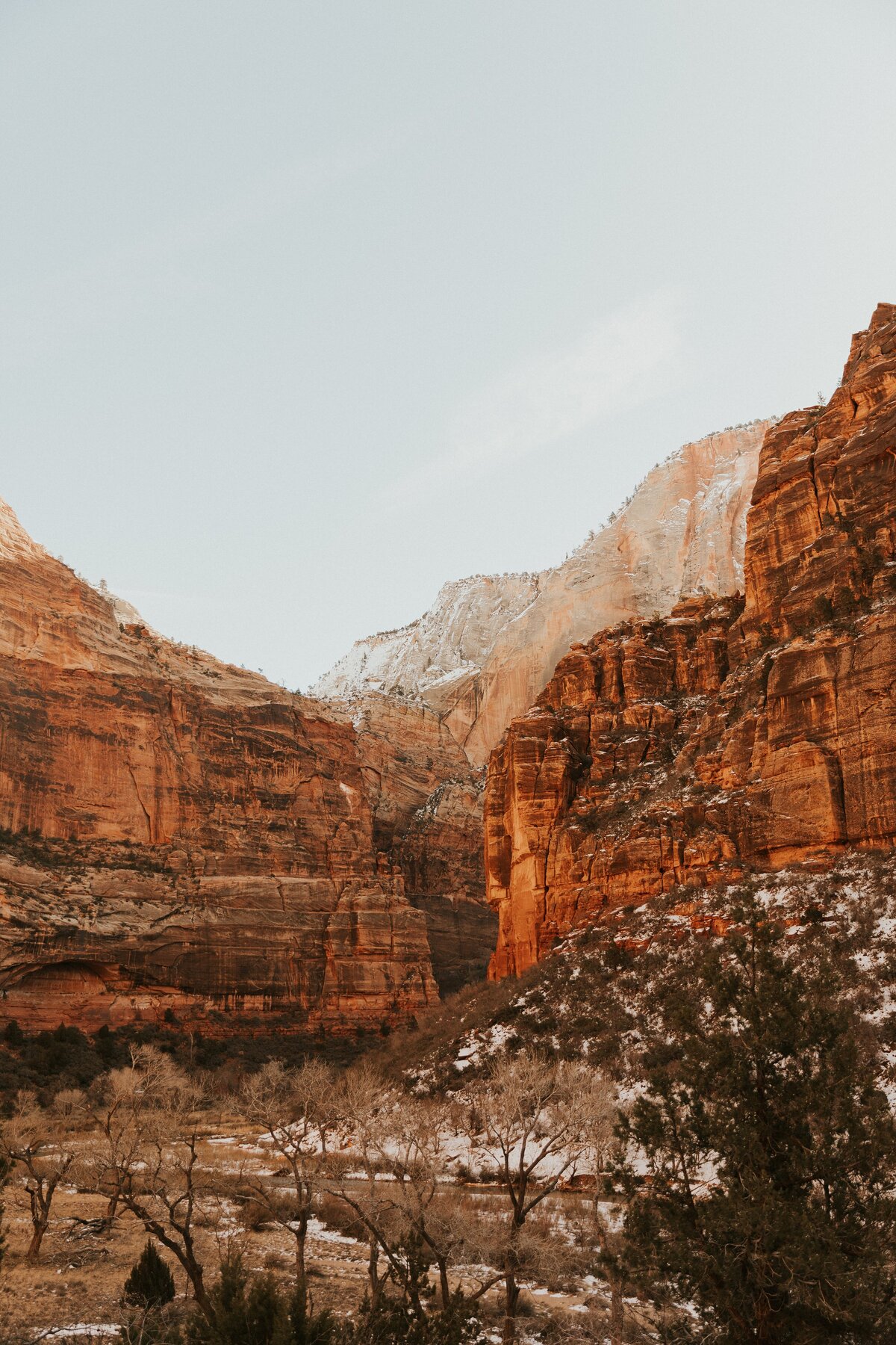 Zion-National-Park-27