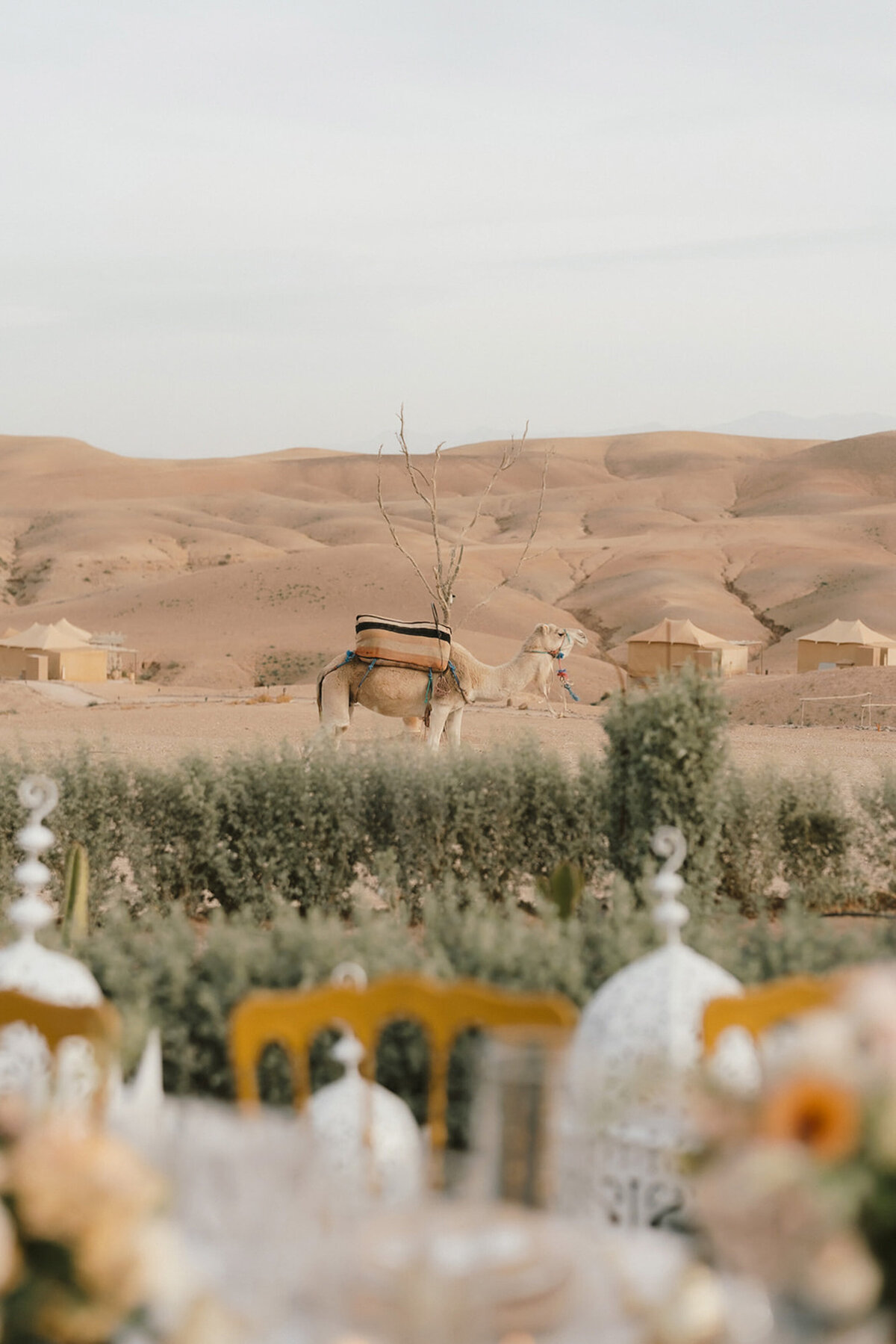 Morocco Desert Wedding-Leah Black--51