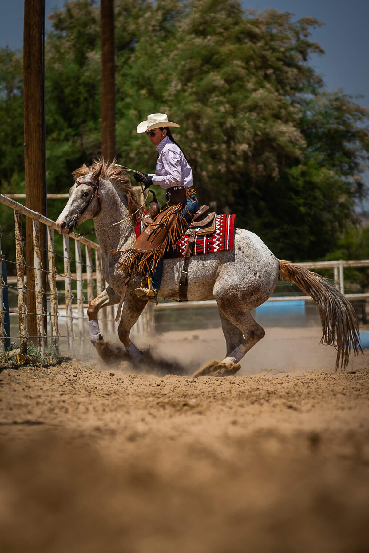El-Paso-Texas-Horse-Show-Photographer-084