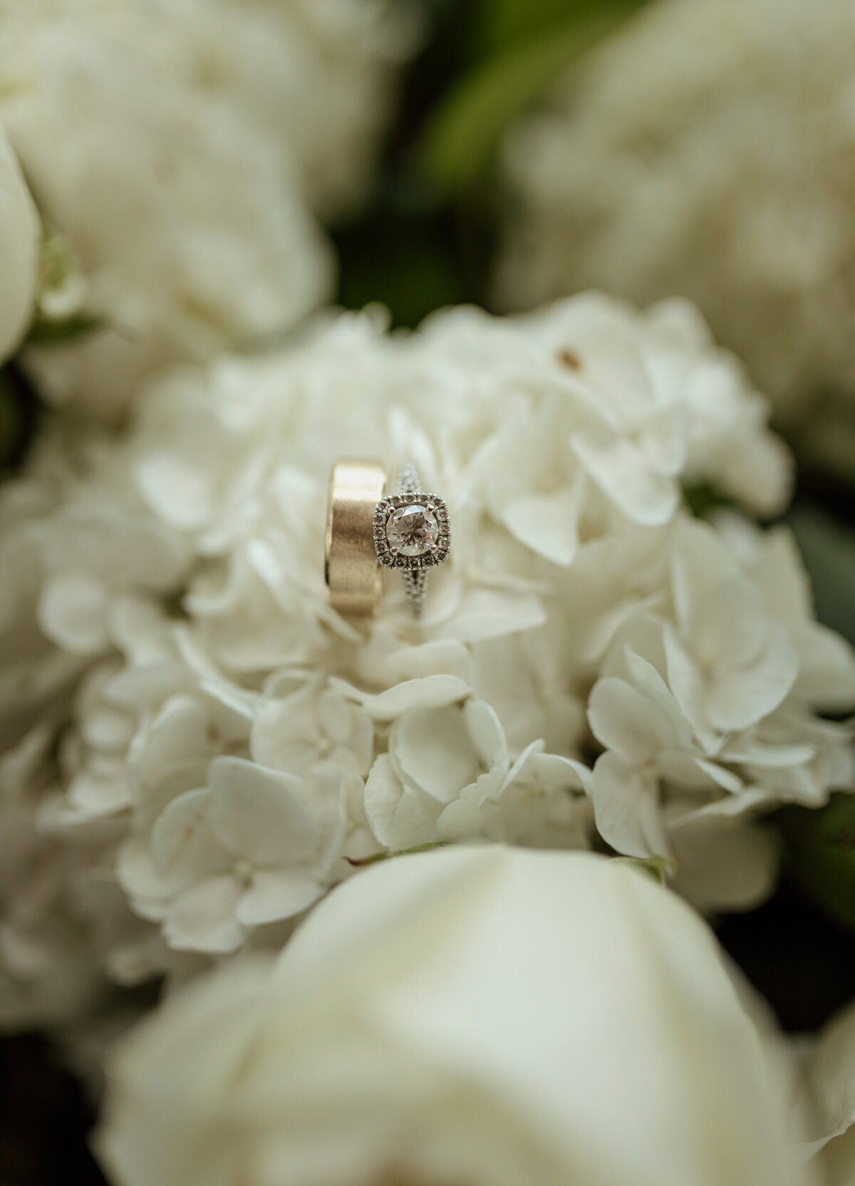 close up of wedding rings in flowers