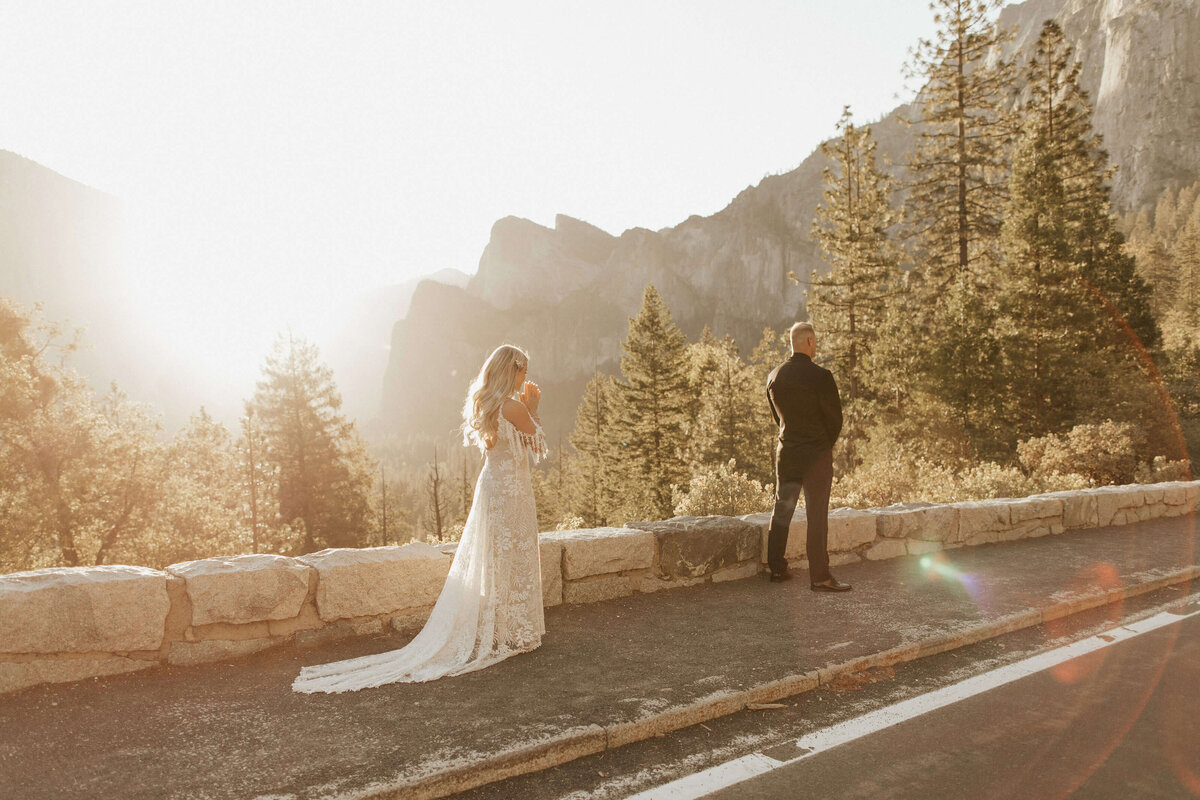 with-the-wandering-yosemite-valley-elopement-1
