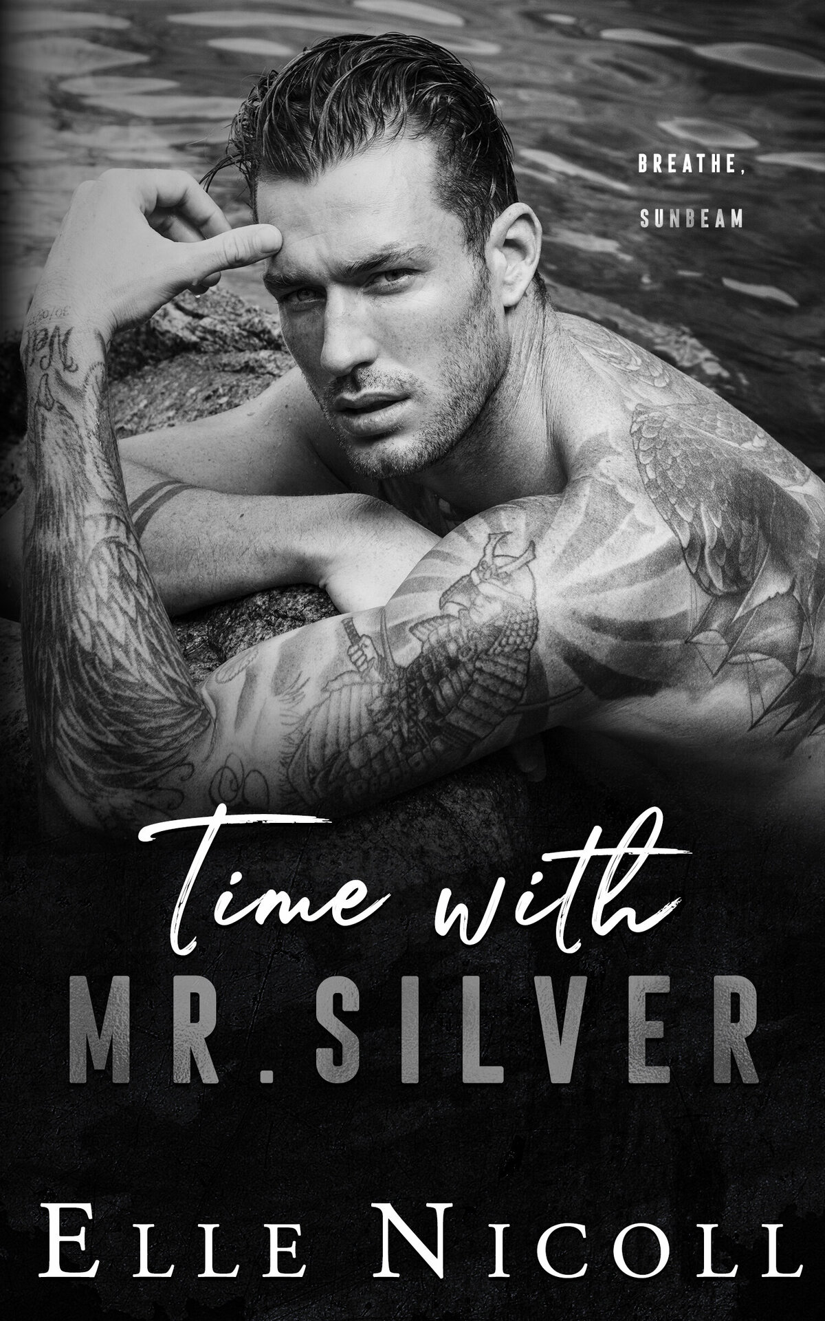 Time with Mr Silver Ebook