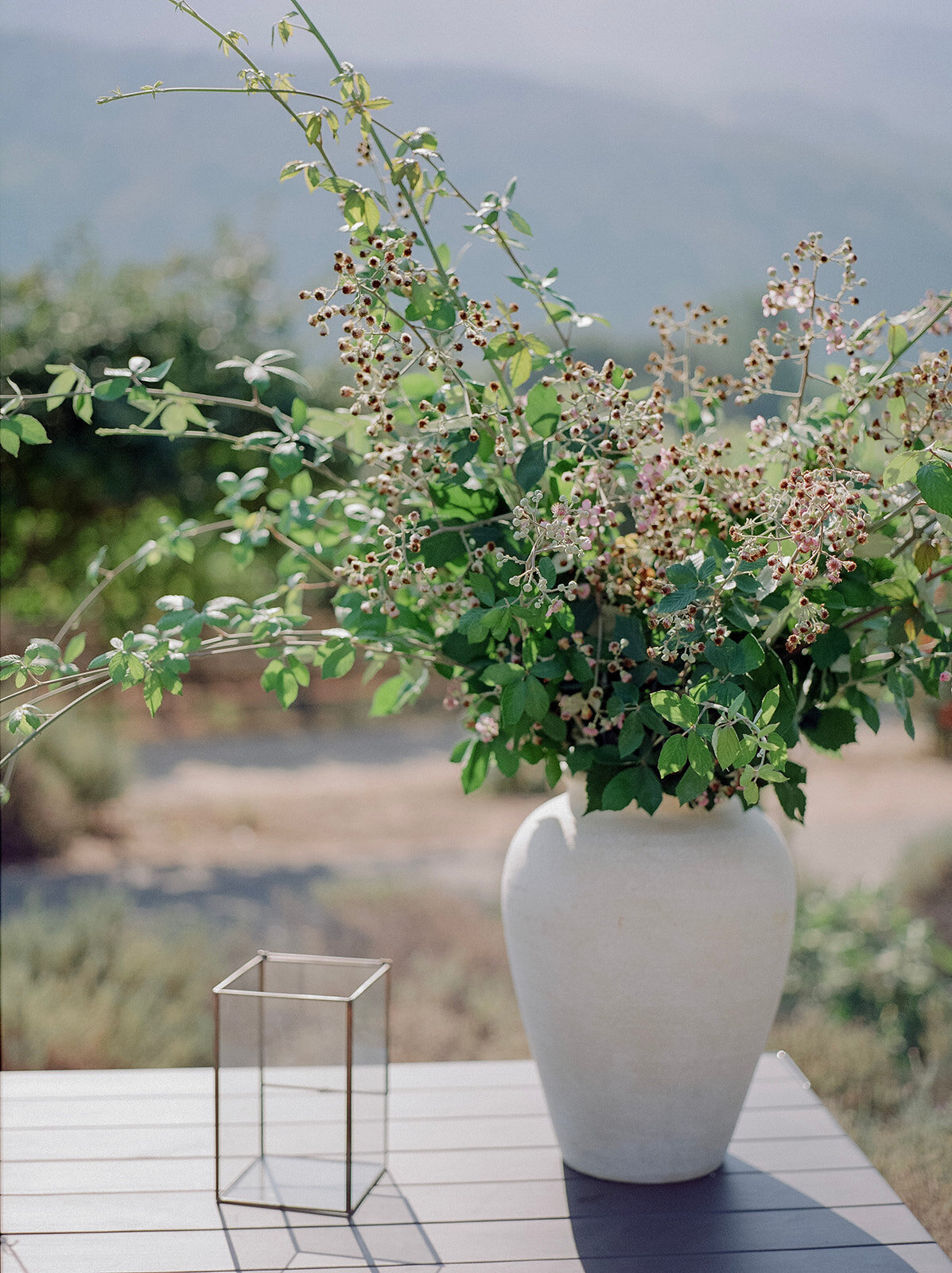 bernardus-lodge-wedding-carmel-photographer-012