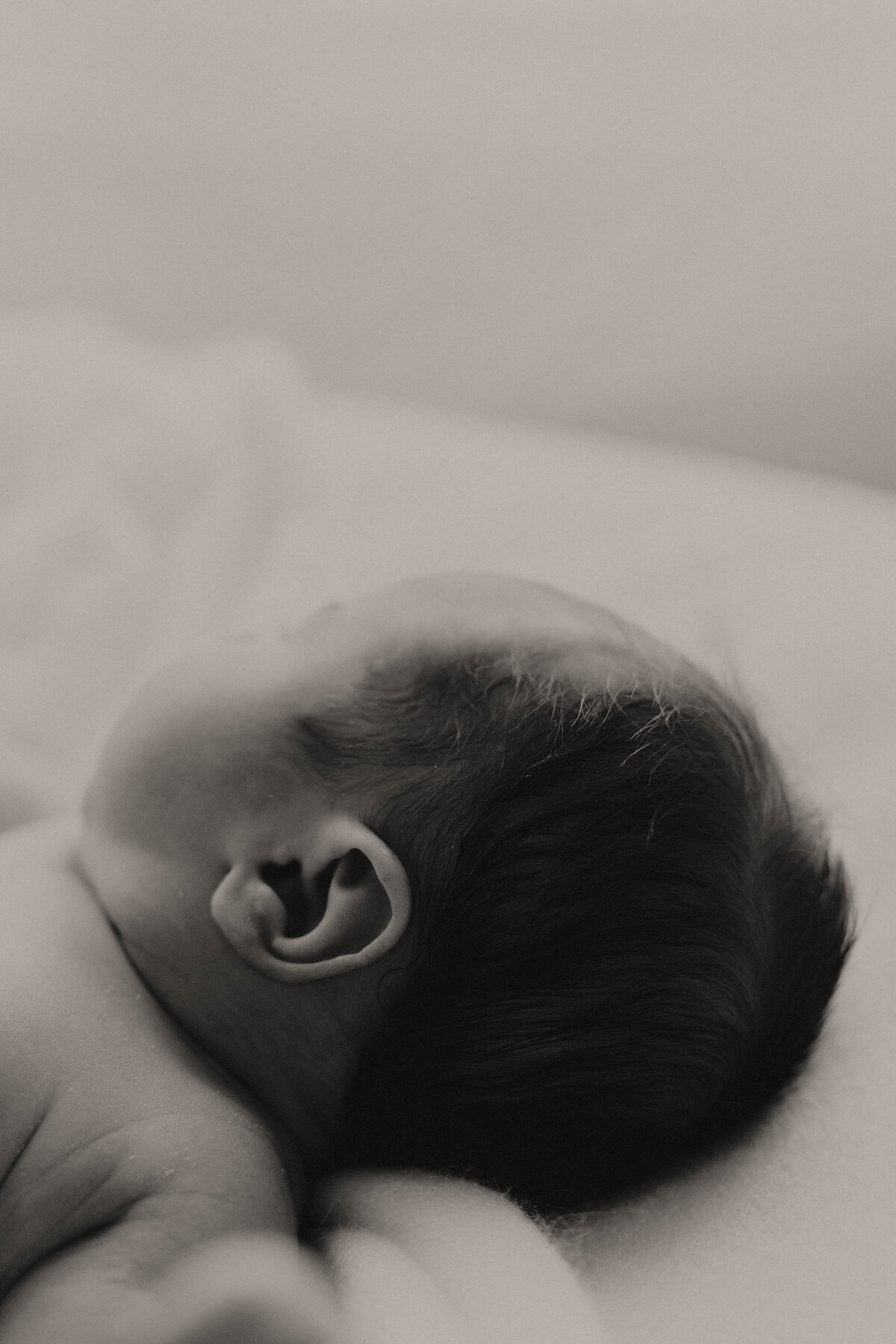 MILLIE_NEWBORN-2400-2