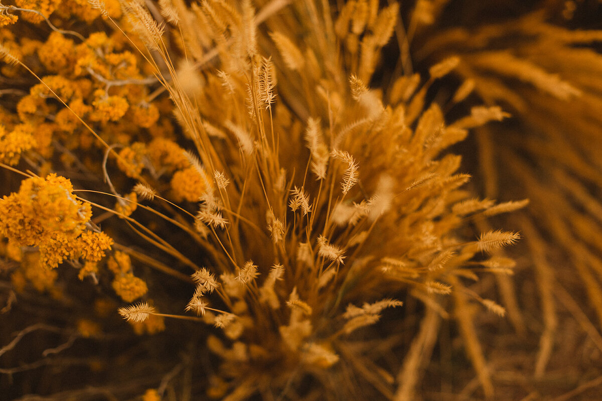 2Q4A0705