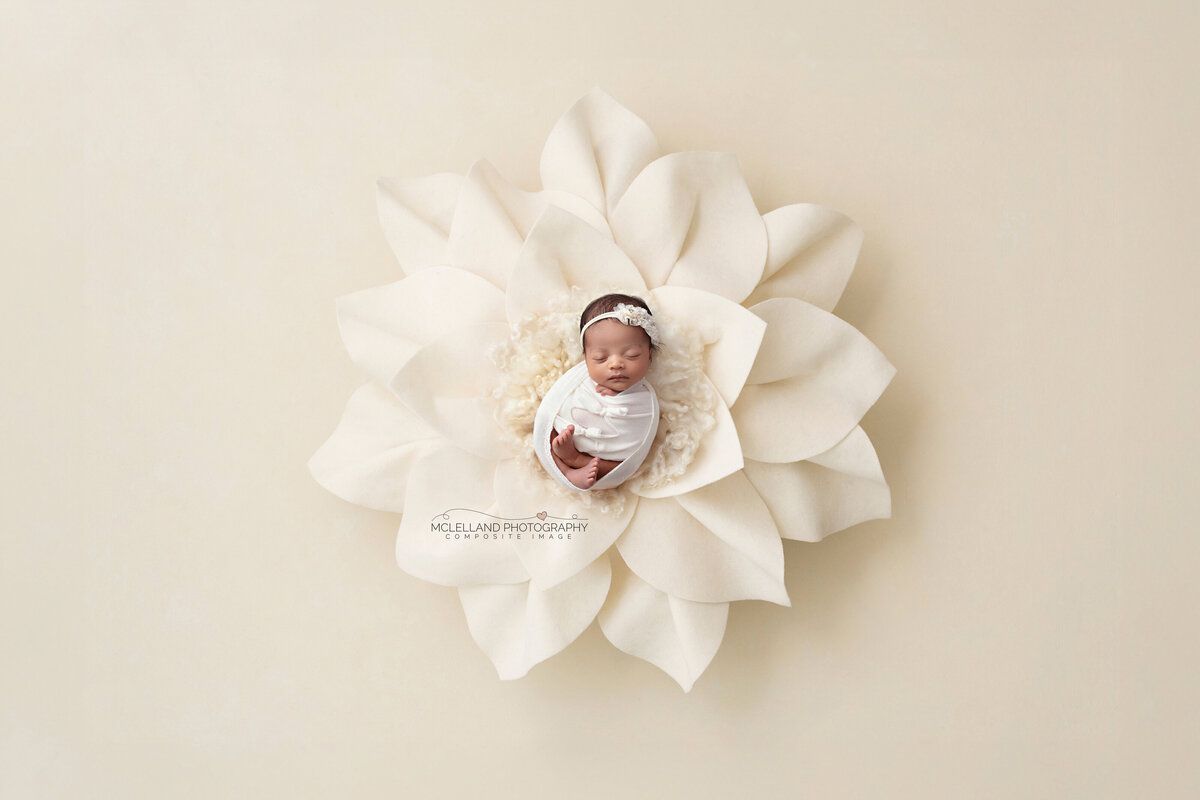 Newborn girl swaddled in cream, posed on a white floral backdrop