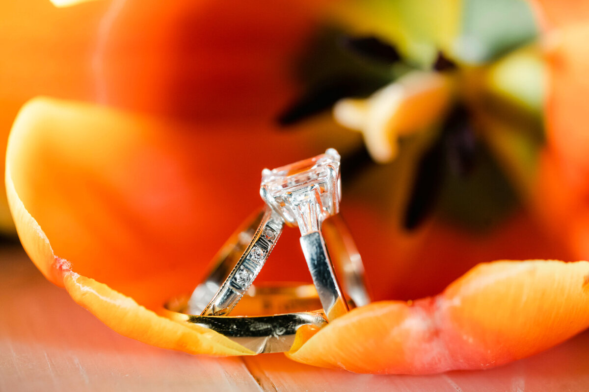 blue-sky-ranch-park-city-mountain-summer-wedding-pepper-nix-2119-1944