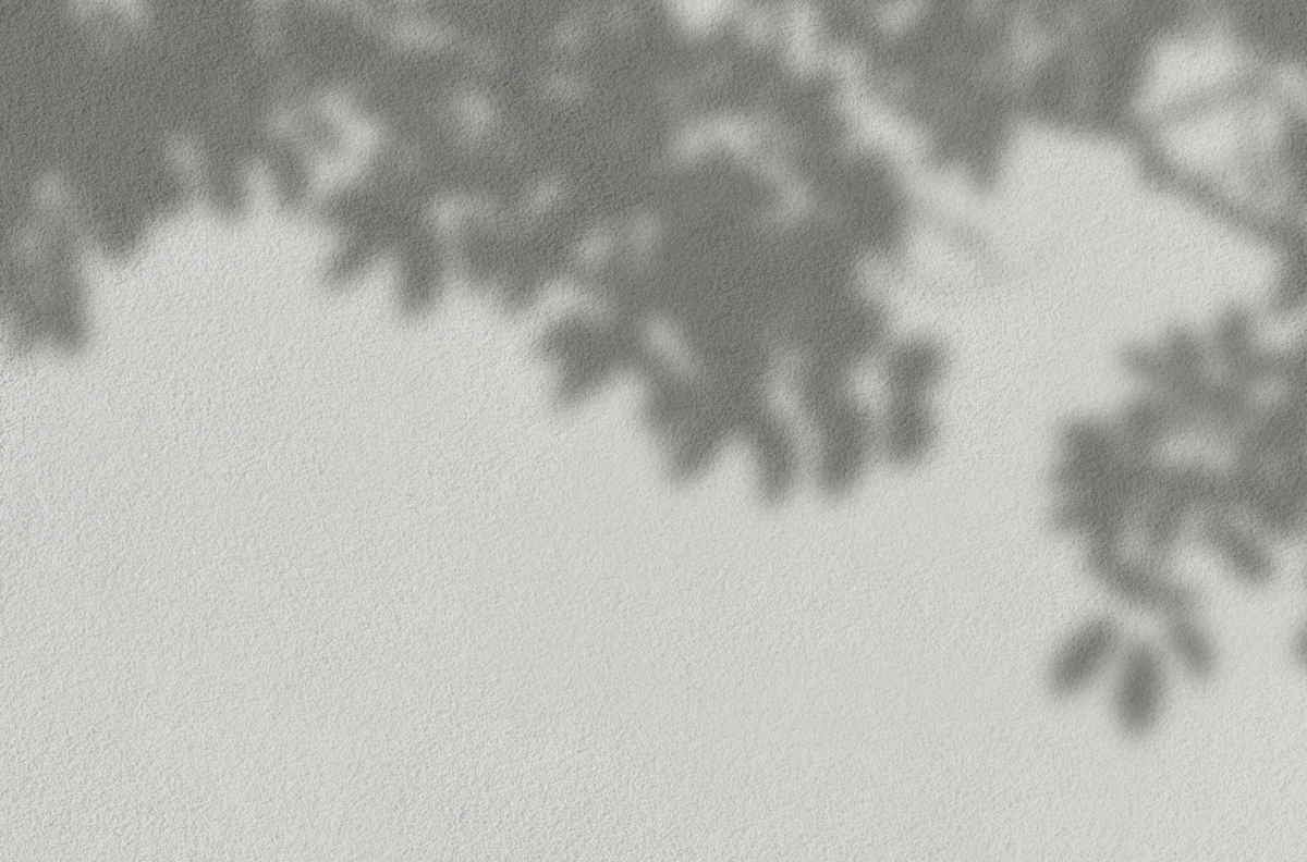 shadow