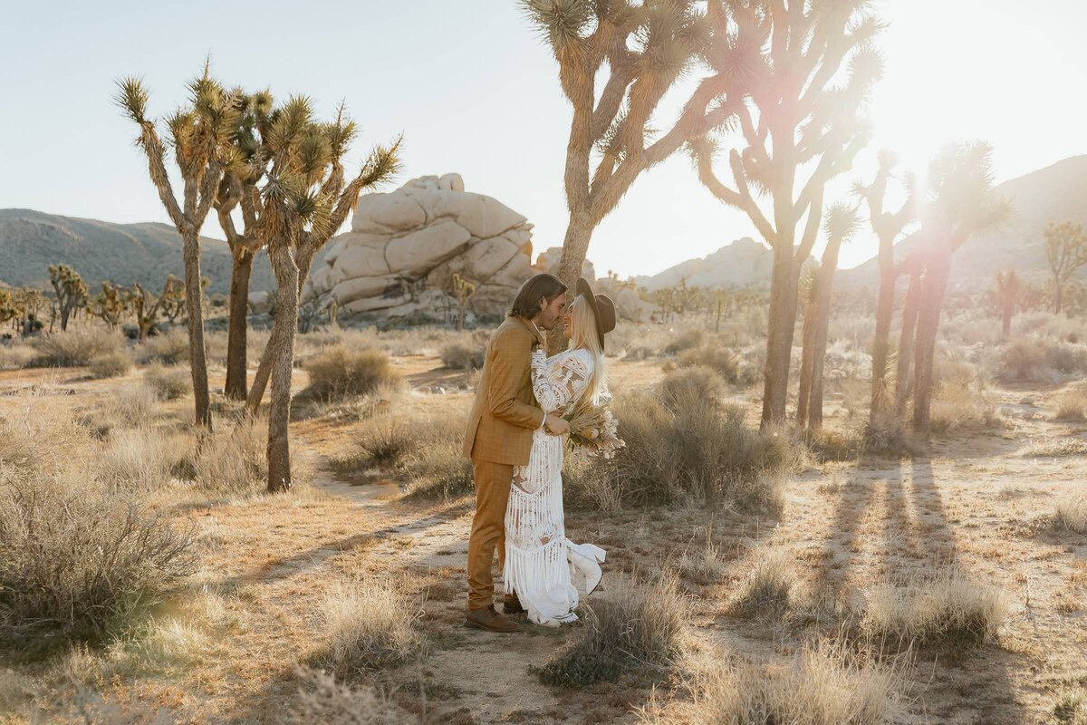 Joshua Tree Bridals-1-LARGE_1