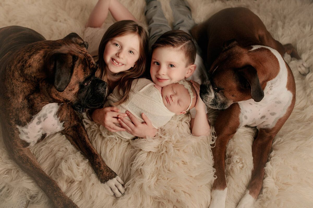 dogs-and-baby-photography