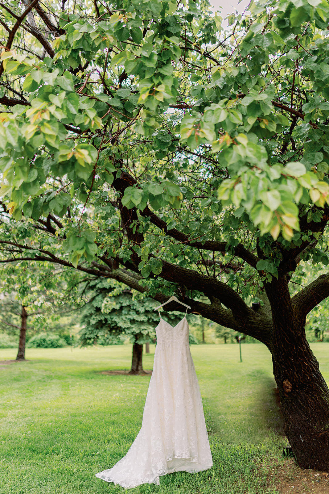 alchemycreative.net-riverbendwedding-carollynerobert7