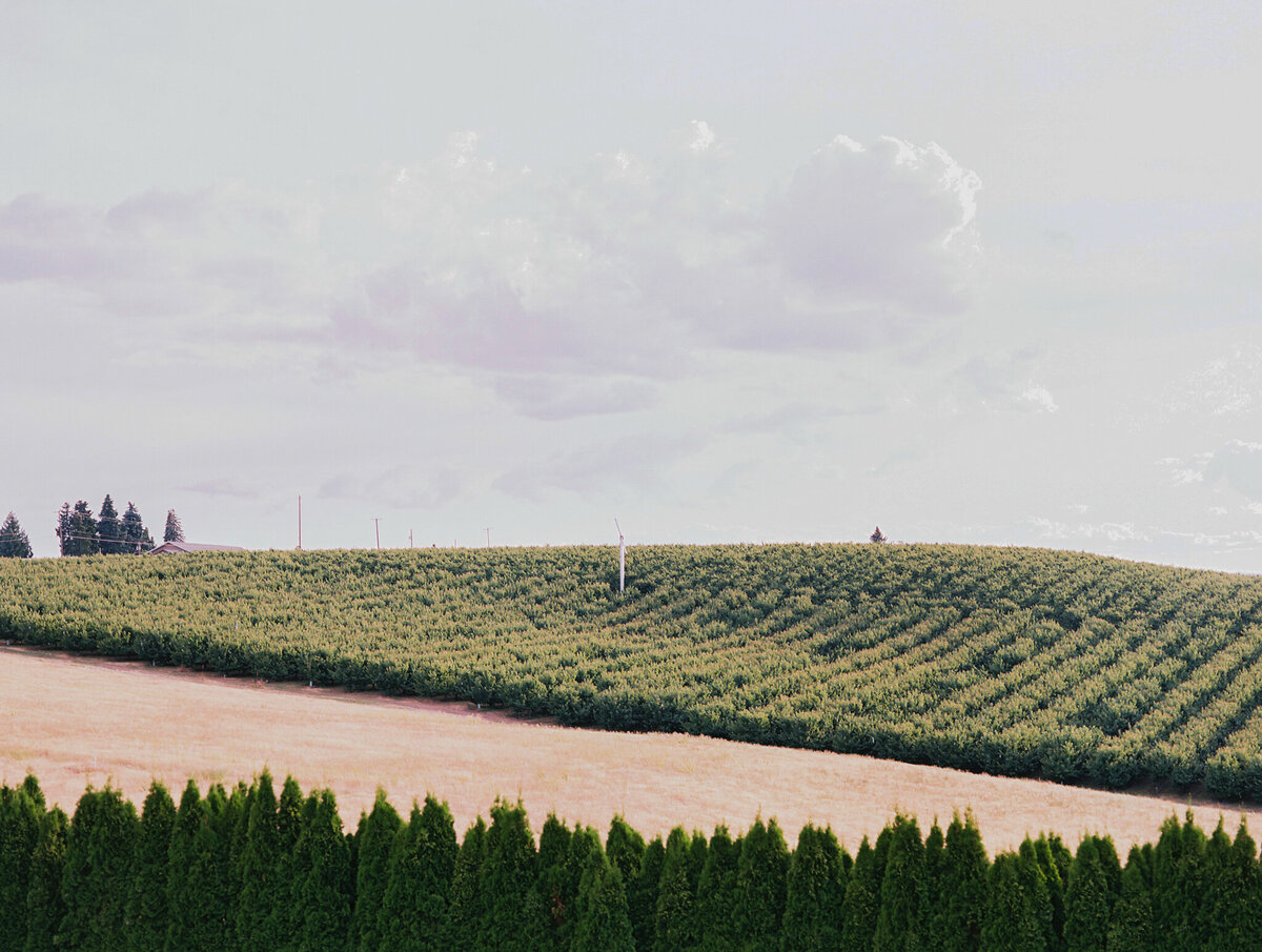 destinationweddingphotographer-006